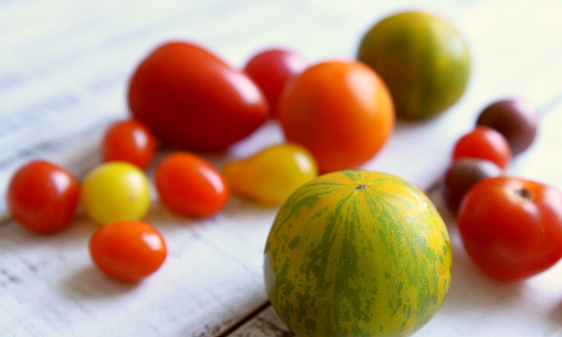 Fassifern tomatoes