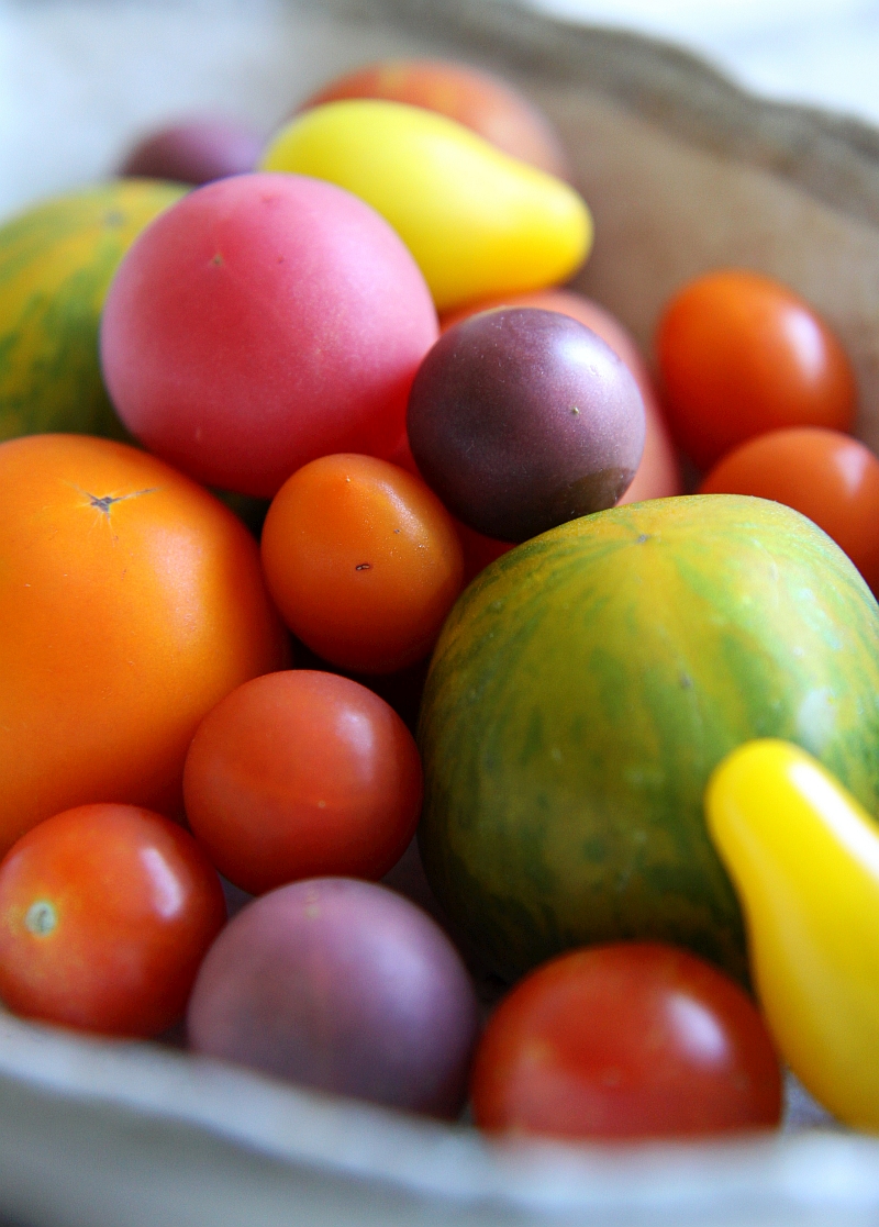 Fassifern tomatoes